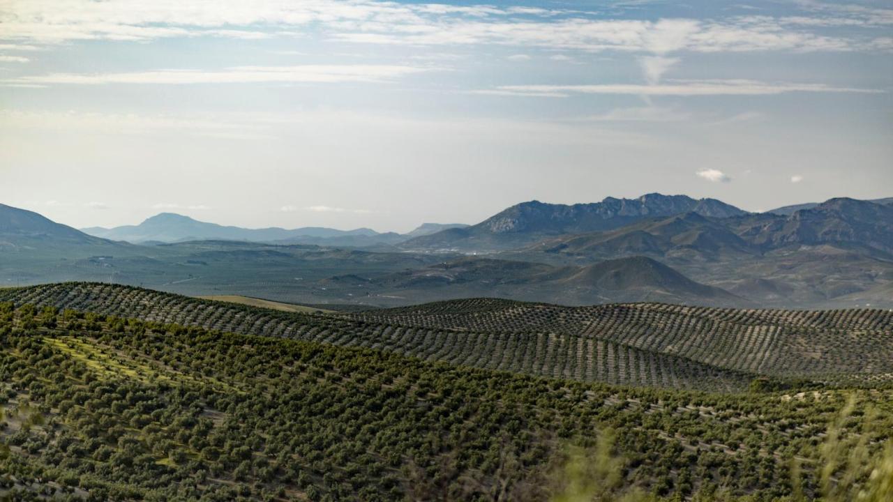 Hostal Rural Pico Aznaitin - Sierra Magina Albanchez de Úbeda Eksteriør billede